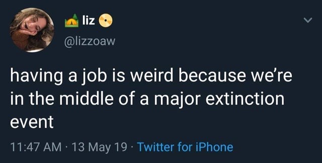 Tweet de @lizzoaw having a job is weird because we’re in a major extinction event